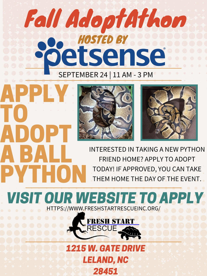 Petsense Flyer (2022)